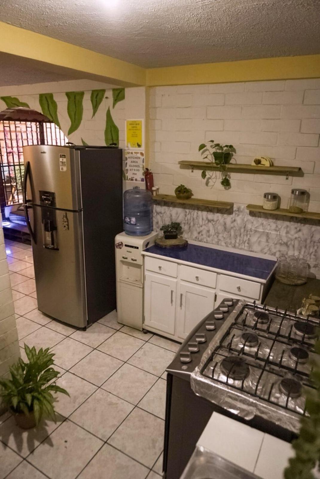 Pool House Hostel 圣安娜 外观 照片