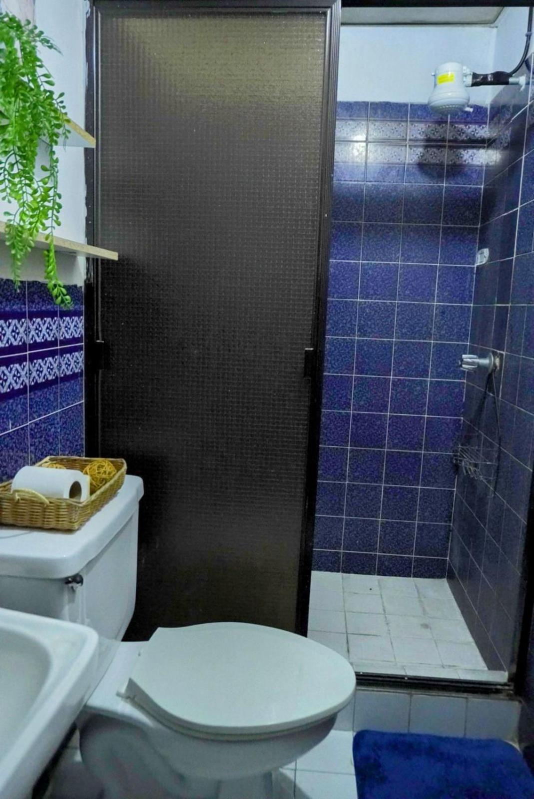 Pool House Hostel 圣安娜 外观 照片
