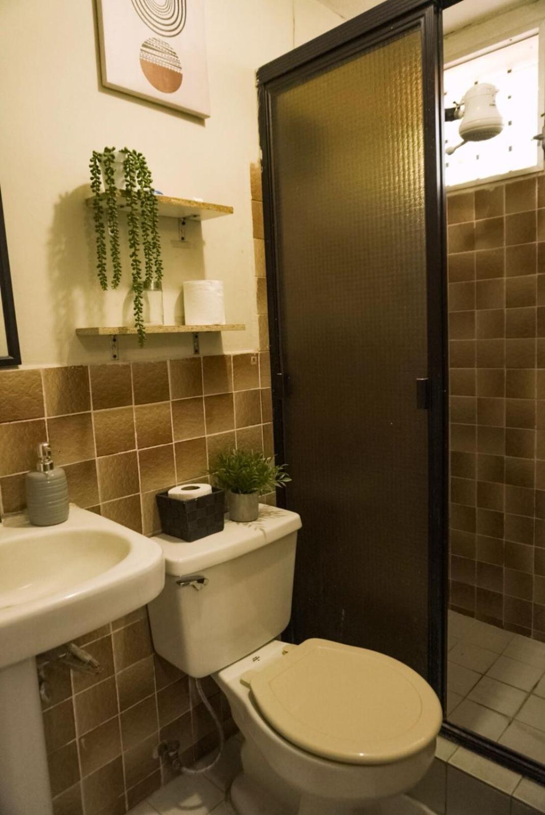 Pool House Hostel 圣安娜 外观 照片